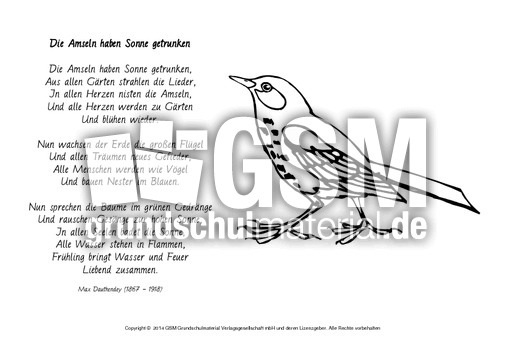 Die-Amseln-haben-Dauthendey-ausmalen.pdf